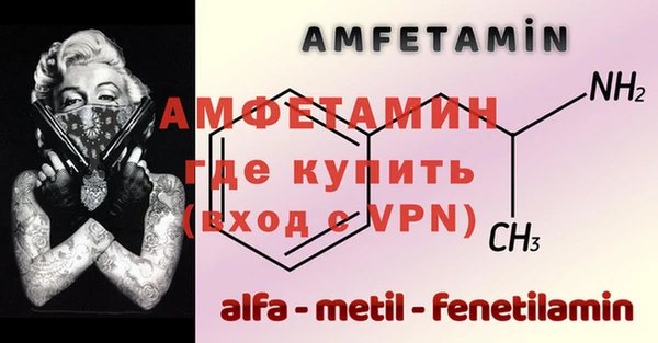 амф Вяземский