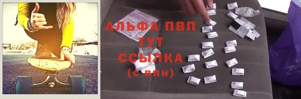 индика Волоколамск