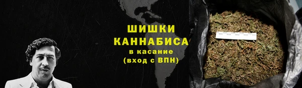 ПСИЛОЦИБИНОВЫЕ ГРИБЫ Вязники