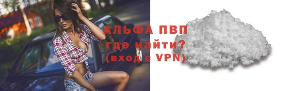 ПСИЛОЦИБИНОВЫЕ ГРИБЫ Вязники