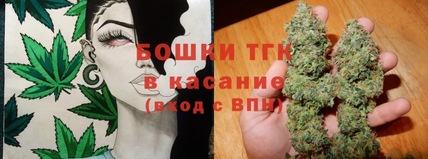 ПСИЛОЦИБИНОВЫЕ ГРИБЫ Вязники
