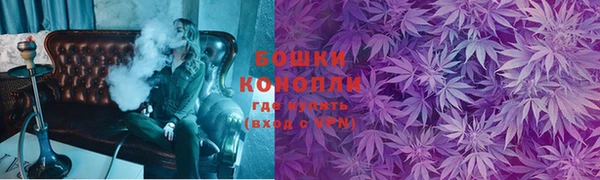 амф Вяземский