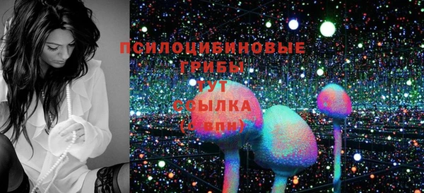 ПСИЛОЦИБИНОВЫЕ ГРИБЫ Вязники