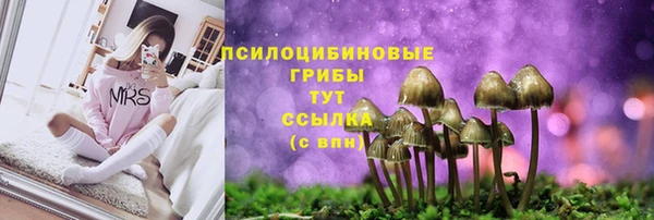 марки nbome Горнозаводск