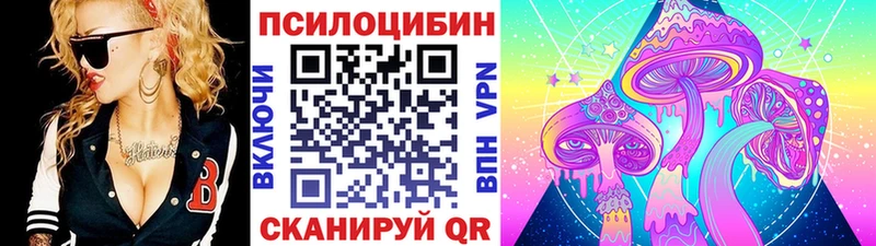 Купить где  Калининск  Псилоцибиновые грибы Psilocybe 